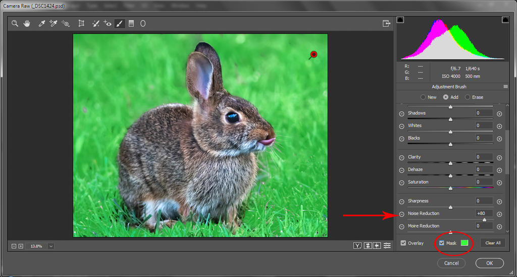 bunny 3.jpg