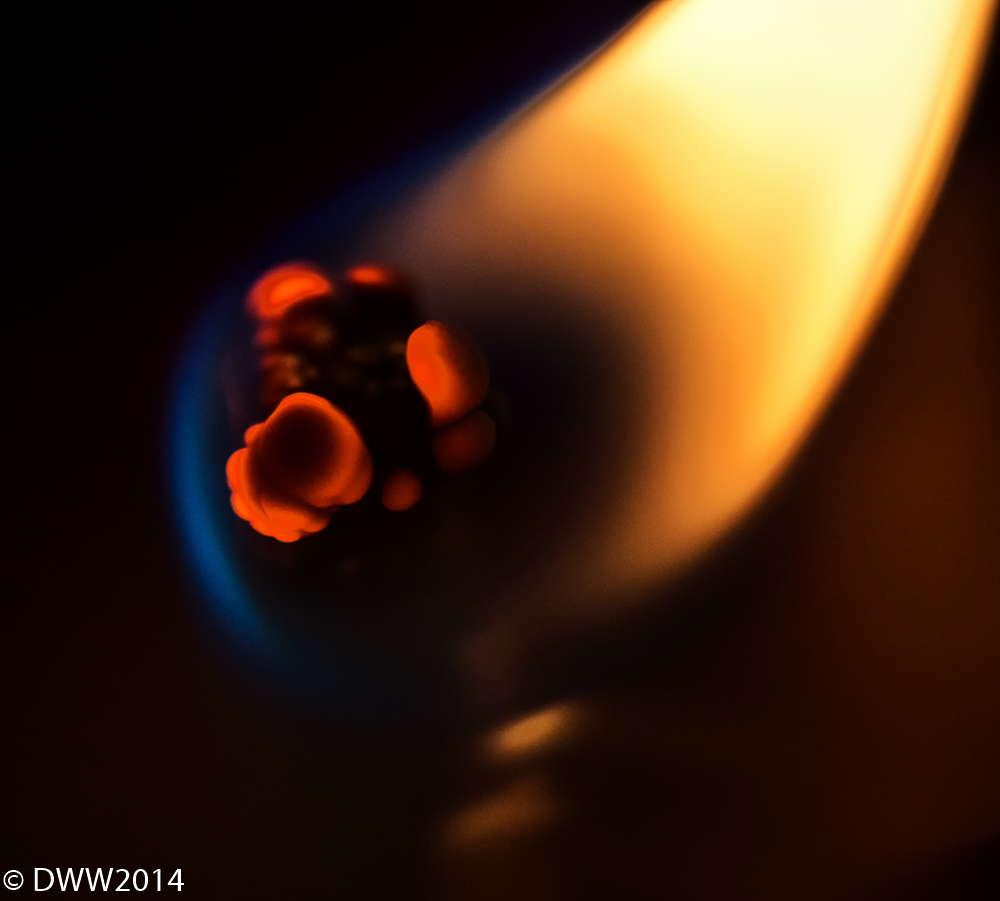 Burn Bright2.jpg