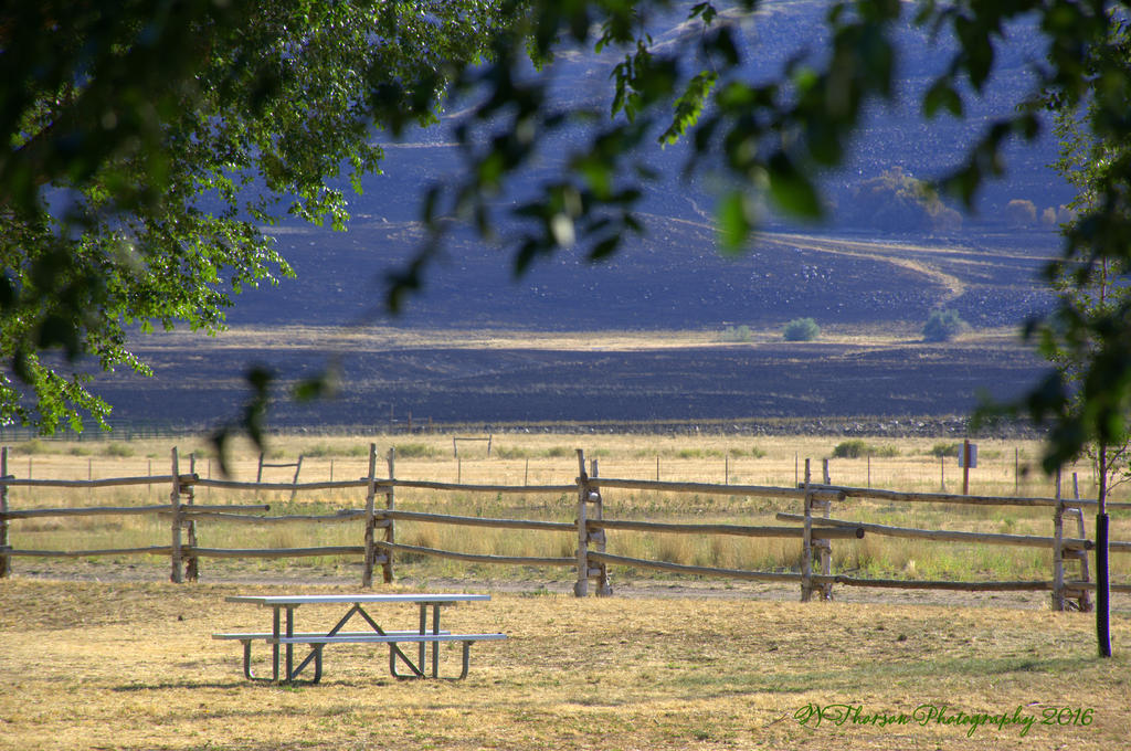Burn Scar Close to Ranch House on antelope Island 7-27-2016.jpg