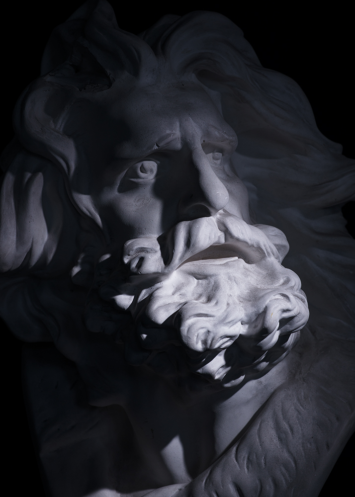 Bust #2.jpg