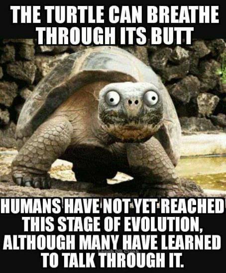 butt.jpg