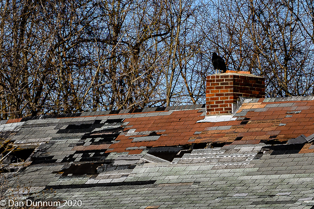 Buzzard House-7269.jpg