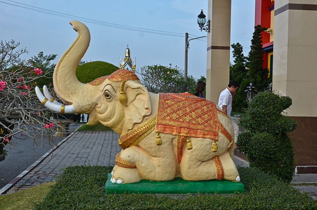c-shrine-1.jpg