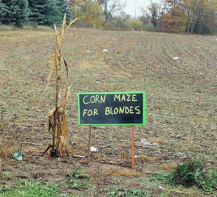 c0rn-maze.jpg