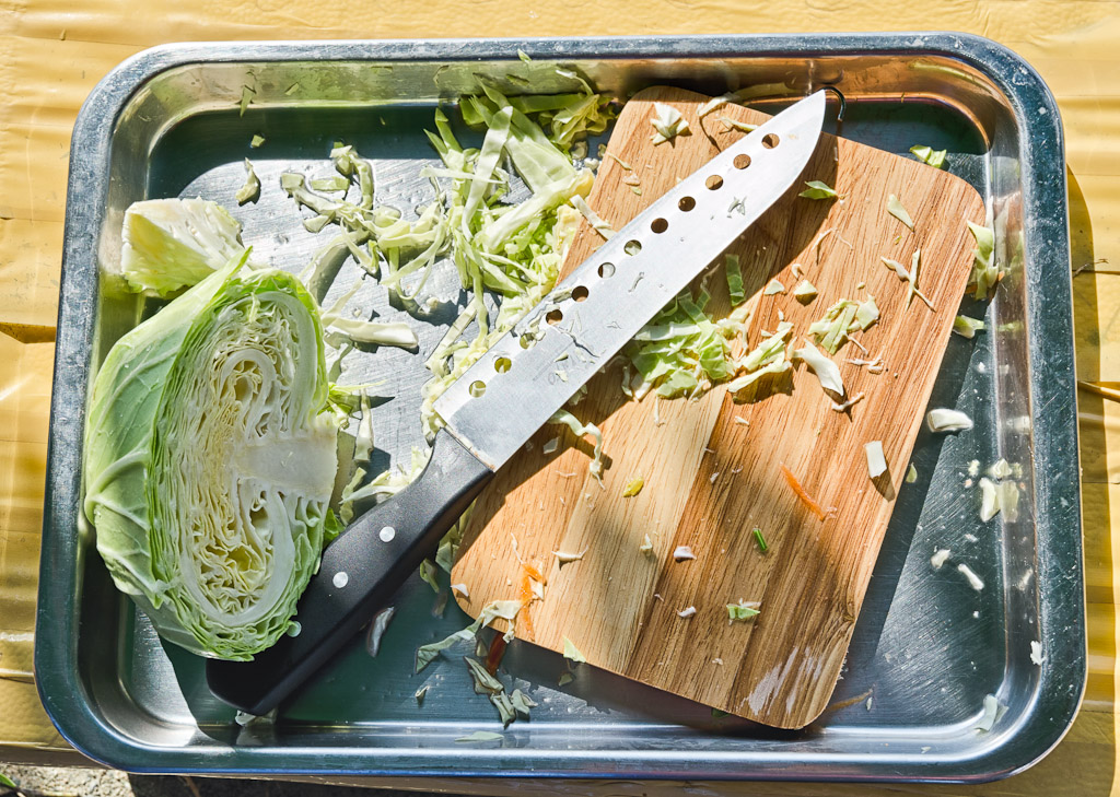 cabbage-1.jpg