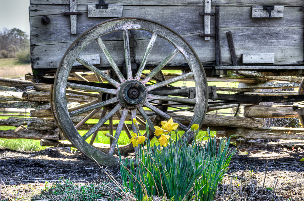 Cades-Cove--5.jpg