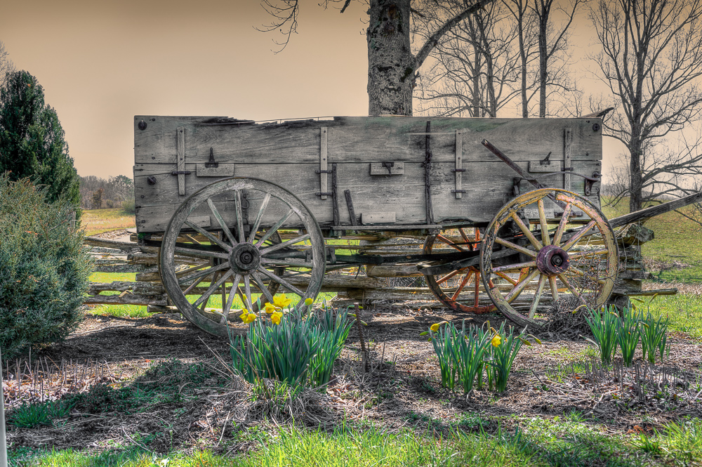 Cades-Cove--8.jpg