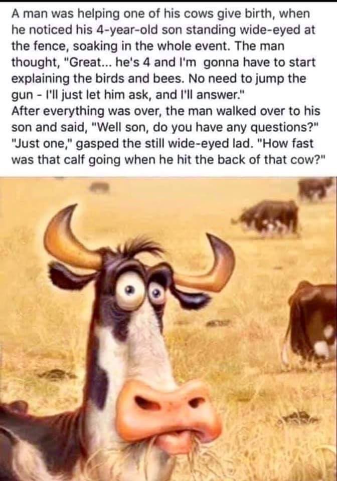 calf.jpg