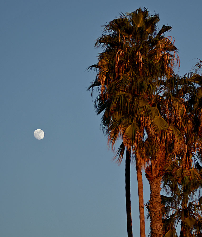 CaliforniaMoon13Jan2014.jpg