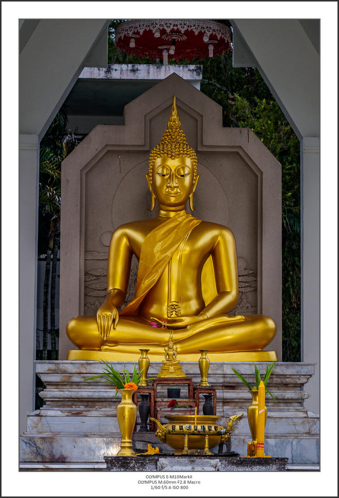 calm-buddha-1.jpg