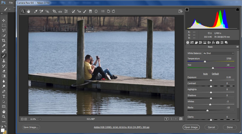 Camera RAW.jpg
