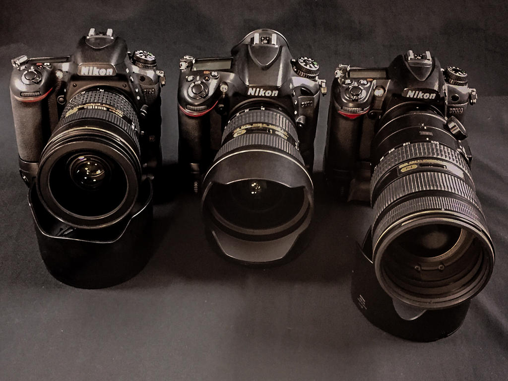 cameras.jpg