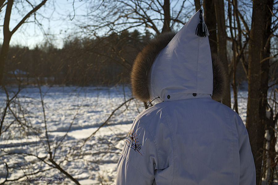 Canadian frozen river.jpg