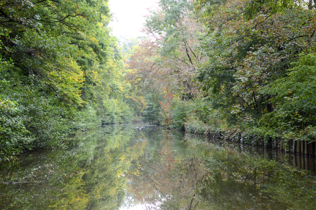 Canal des Vosges 1.jpg