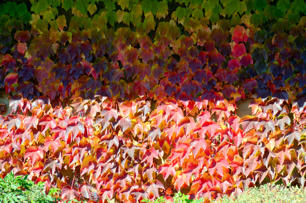 CANCER CENTER 042.jpg
