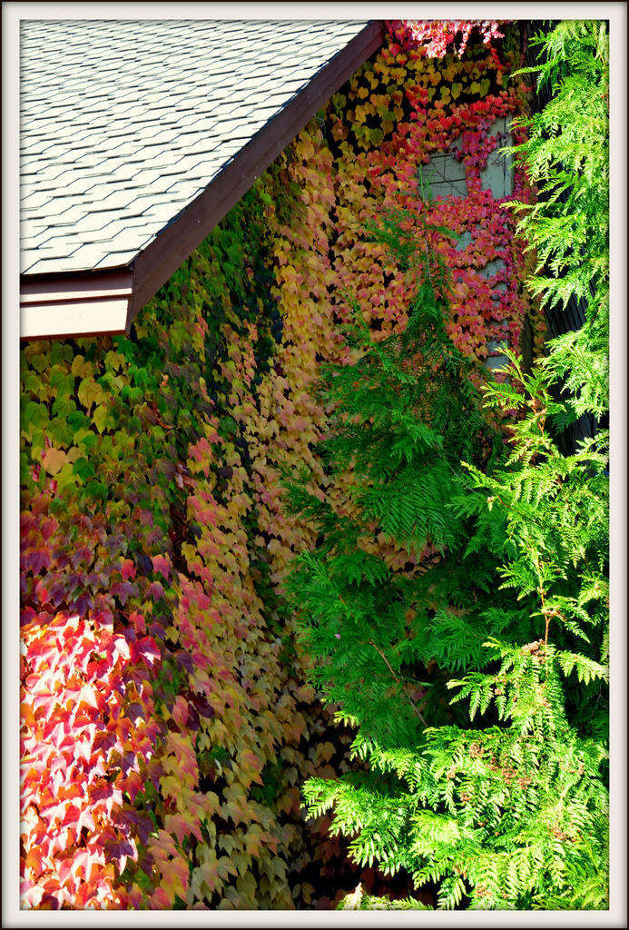 CANCER CENTER 047.jpg