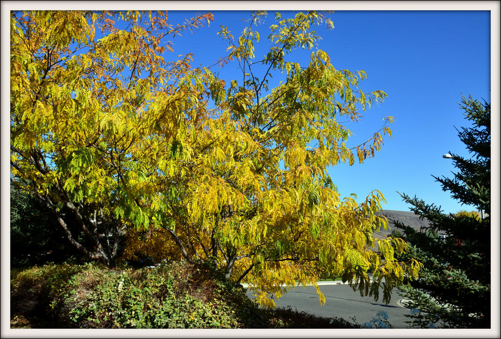 CANCER CENTER 072.jpg