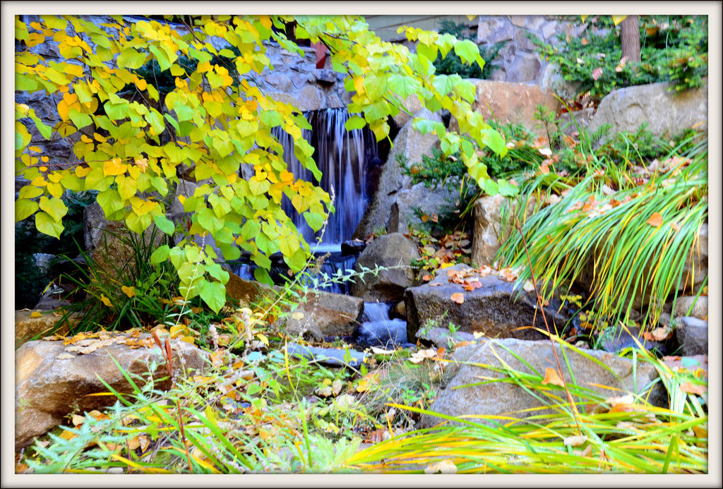 CANCER CENTER 081.jpg