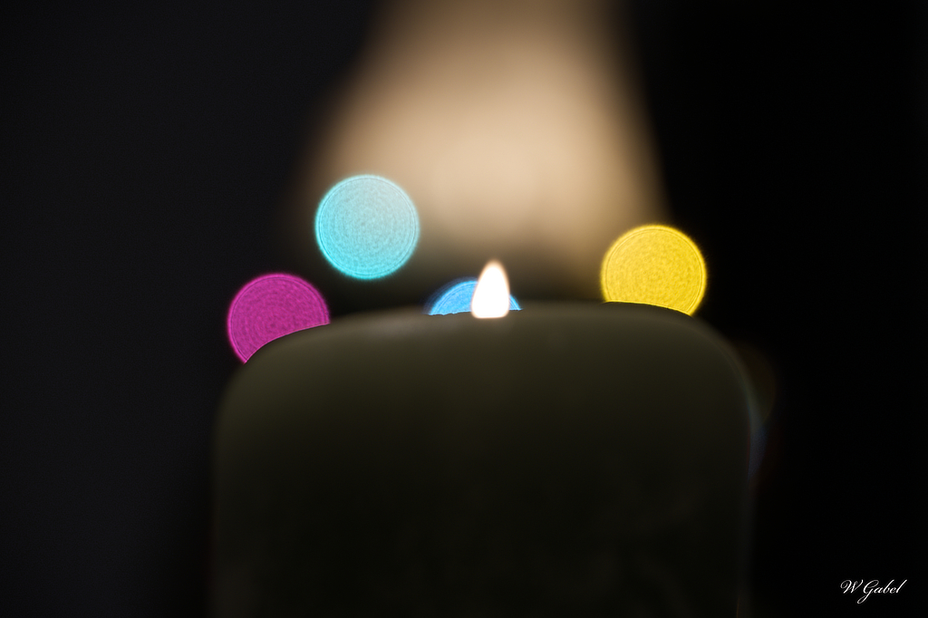Candle and tree.jpg