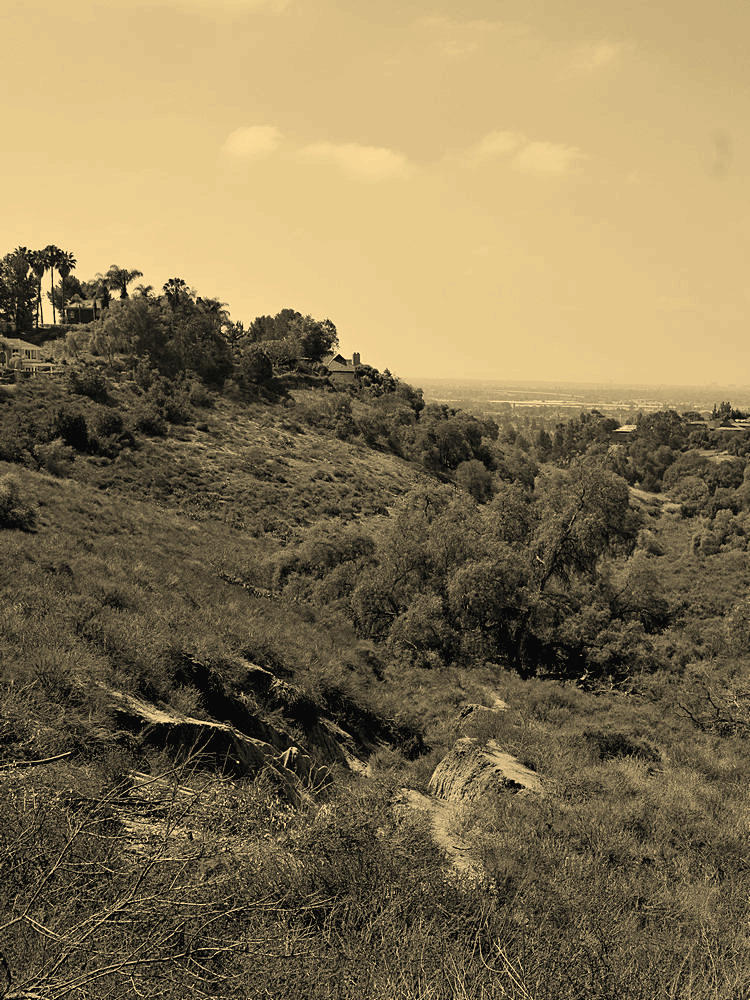 CanyonBW.jpg