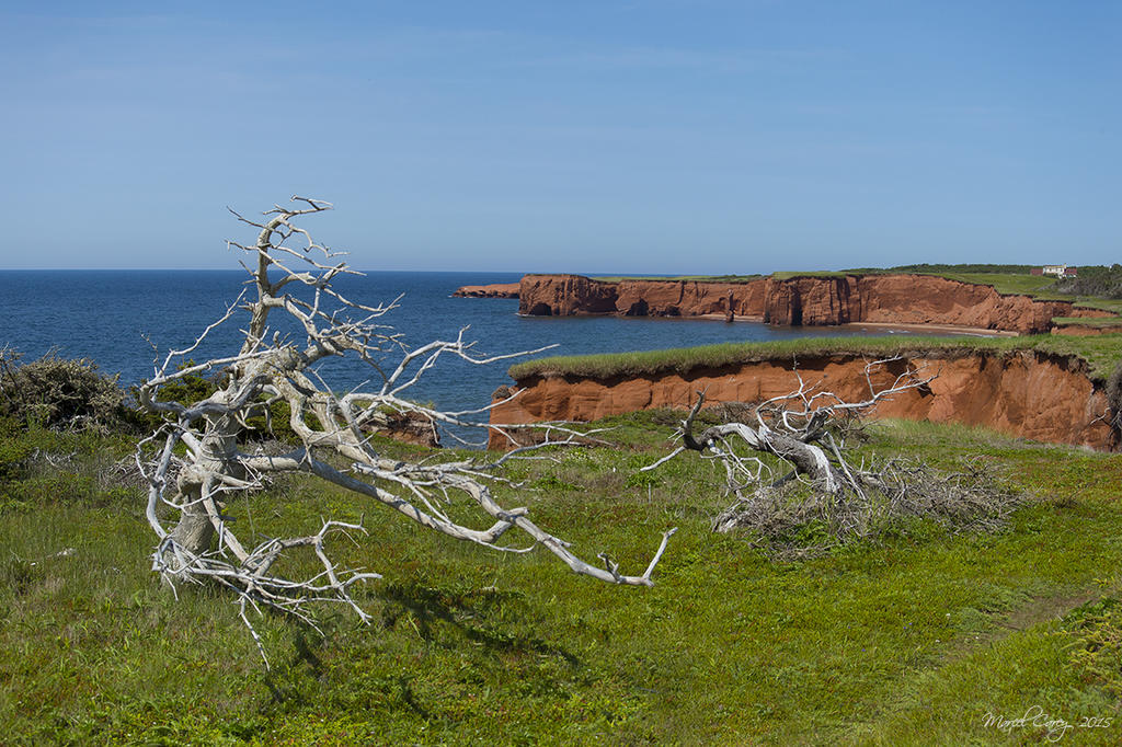 Cap de la grande pointe.jpg