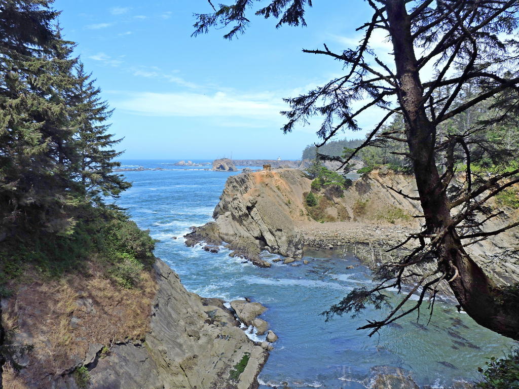 Cape Arago - Small_00001.jpg