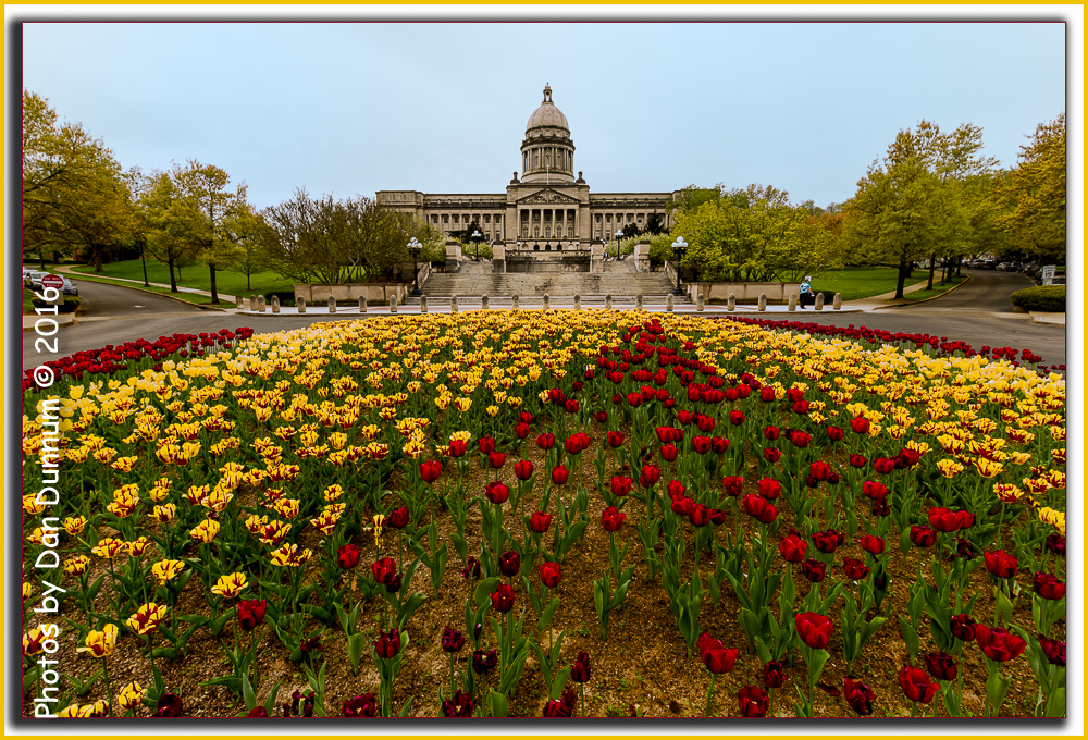Capital Flowers-5270-Edit.jpg