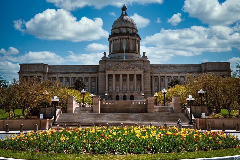 Capitol and Tulips Final-.jpg