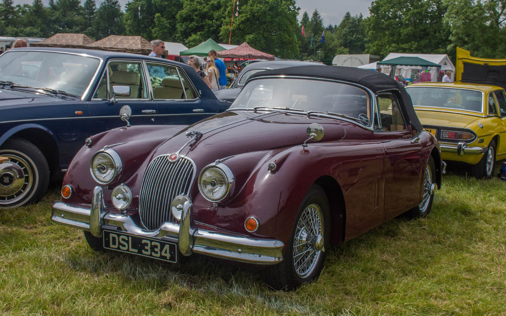car 5.jpg