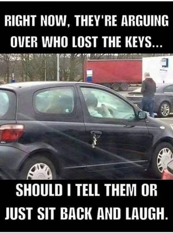 car.jpg