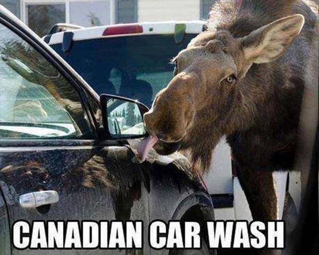 Car-Wash.jpg