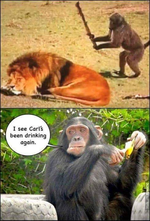 carl.jpg