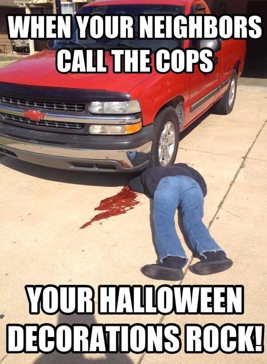 cat-halloween-meme.jpg