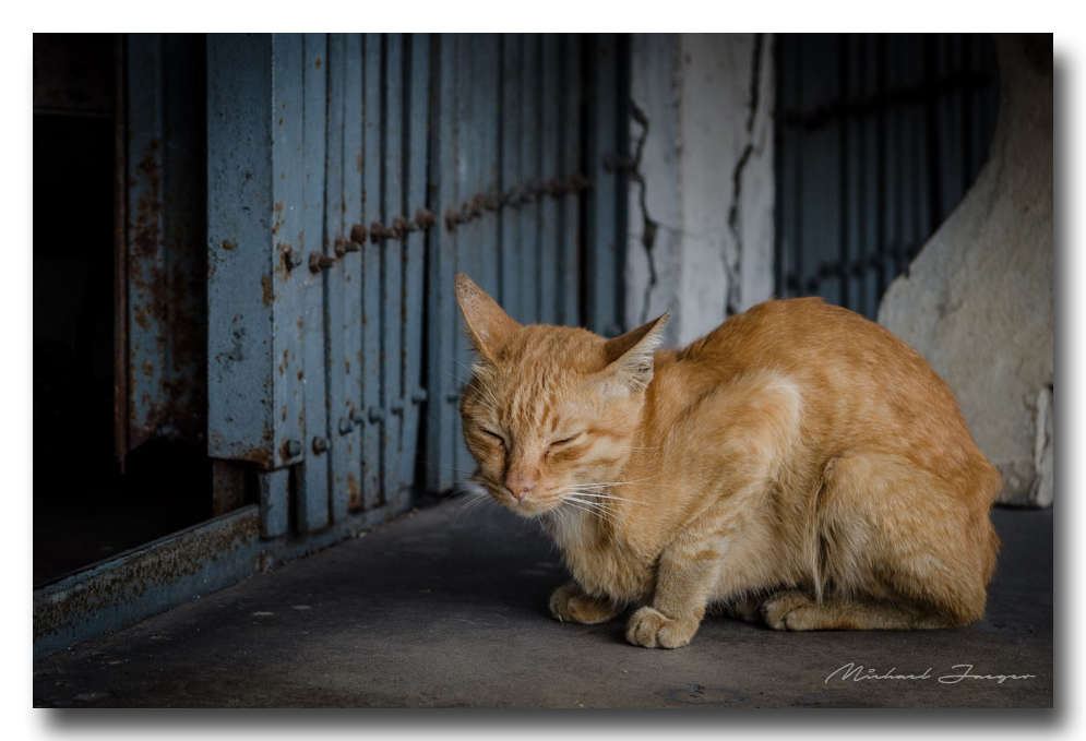 cat-ype-banbung (1).jpg