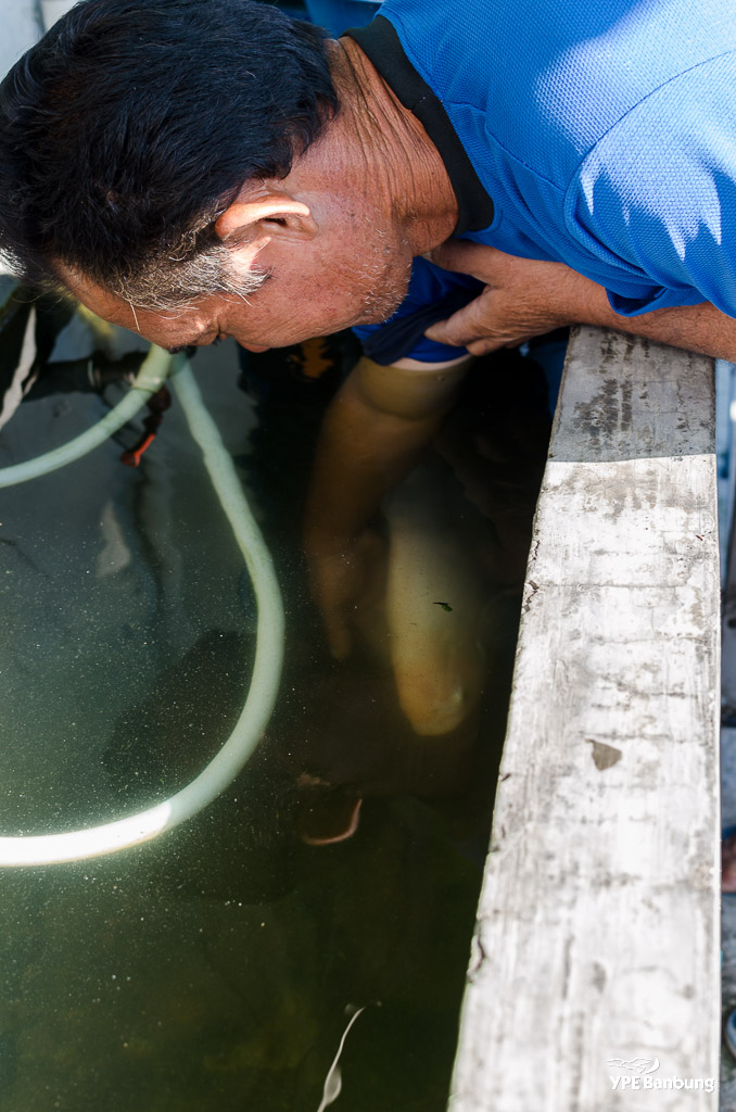 catchin-a-fish-2.jpg