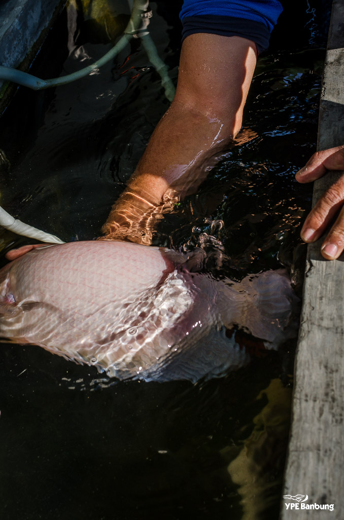 catchin-a-fish-3.jpg