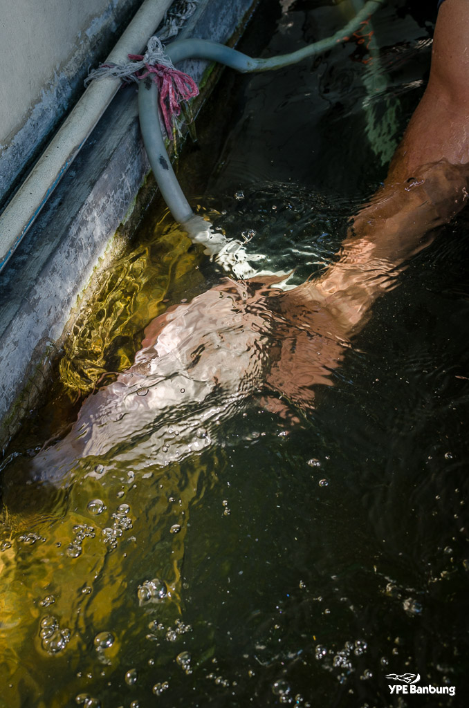 catchin-a-fish-4.jpg