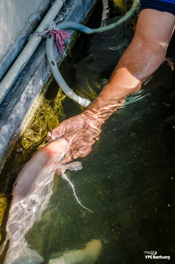 catchin-a-fish-5.jpg