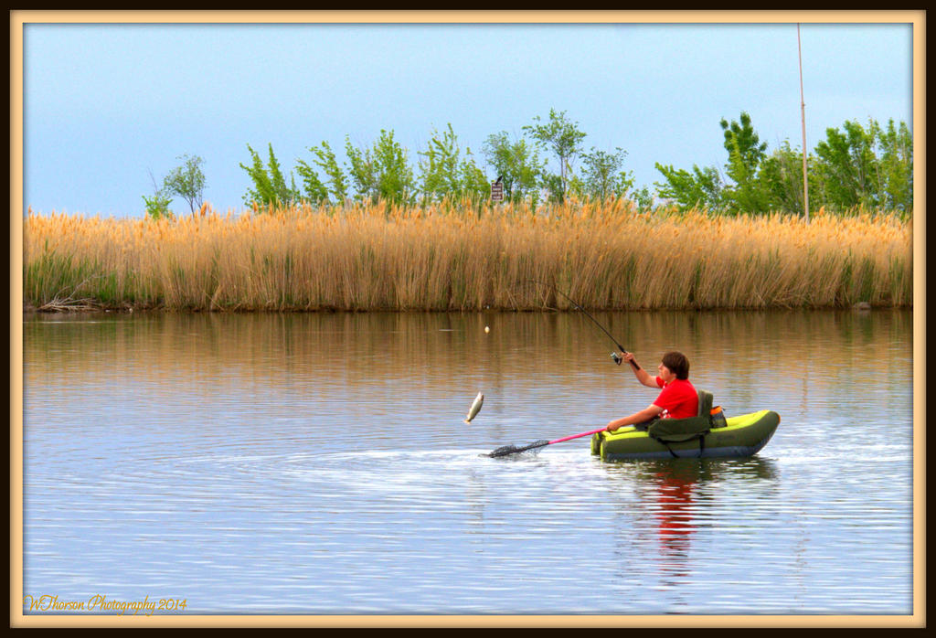 Catching a Fish.jpg