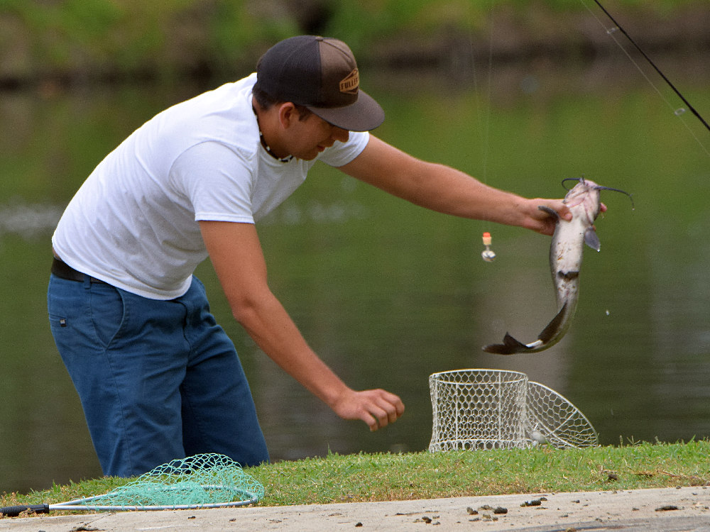 Catfish.jpg