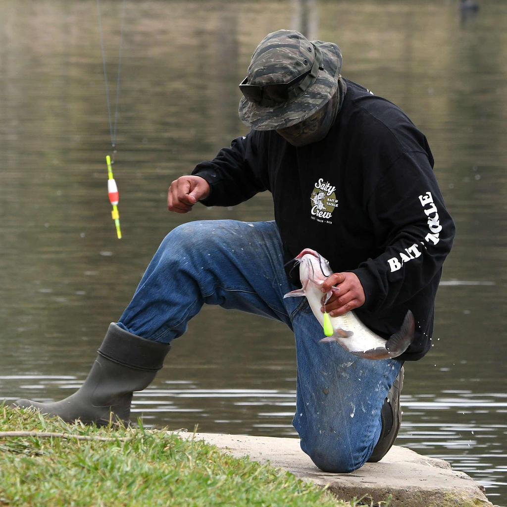 Catfish.jpg