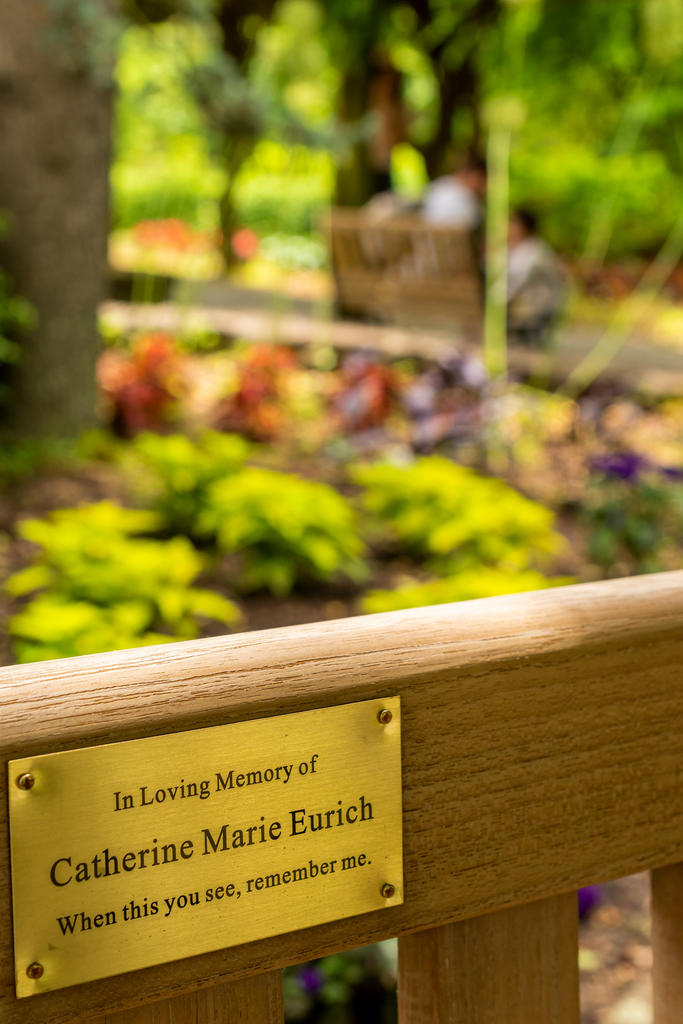 Cathy's Bench 1 (1 of 1).jpg