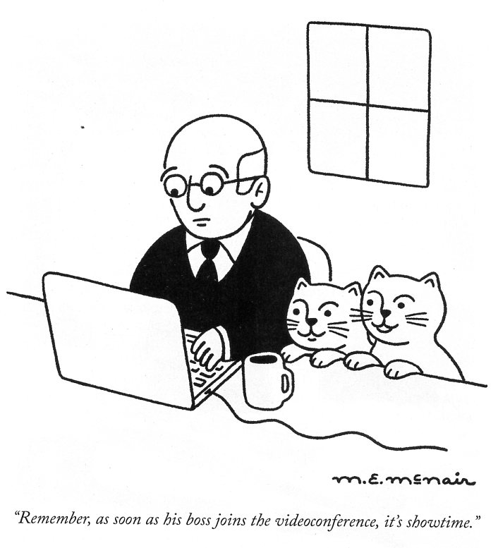 Cats001.jpg