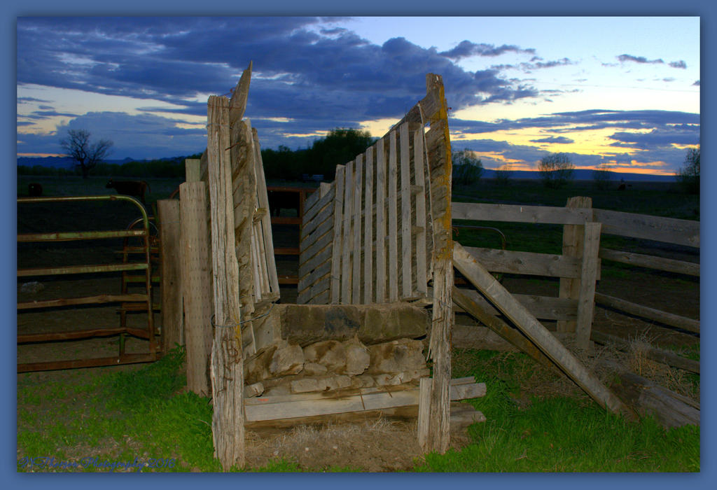 Cattle Gate 4-10-2016.jpg