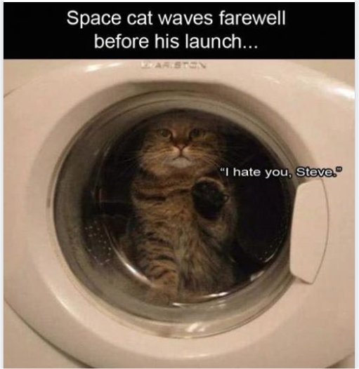 caturday space majorgeeks.jpg