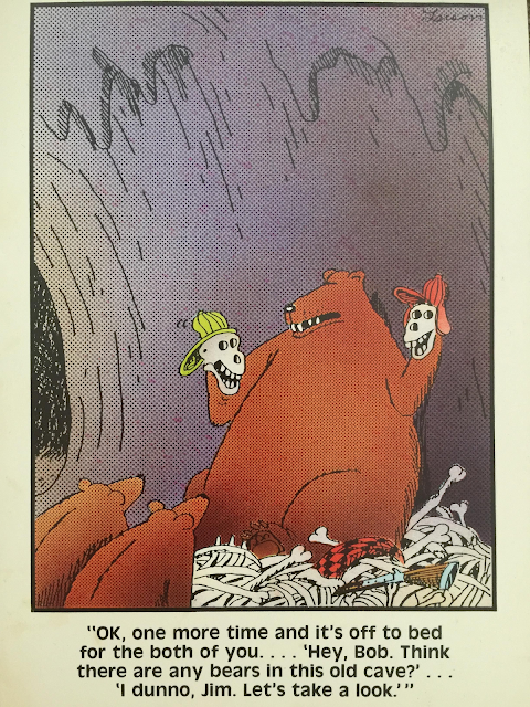 cave bear.png