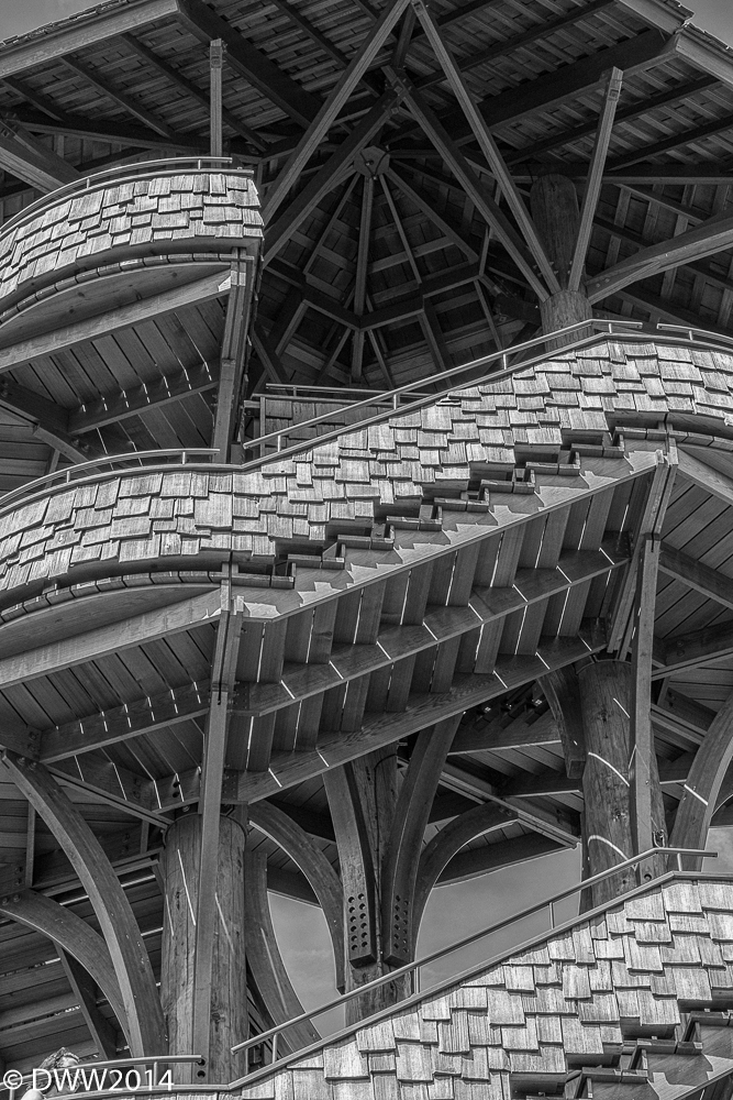 Cedar Tower (1 of 1).jpg