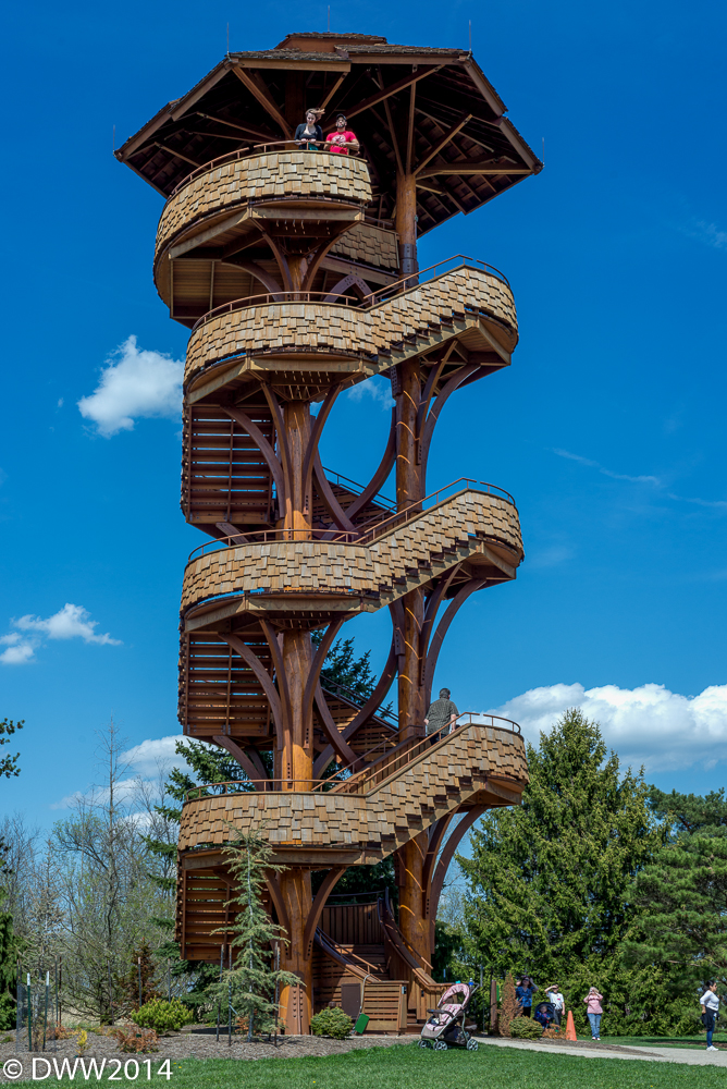 Cedar Tower 2 (1 of 1).jpg