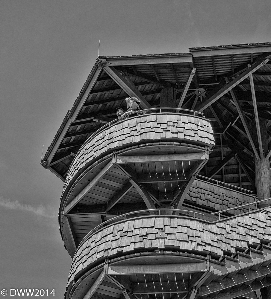 Cedar Tower 3 (1 of 1).jpg