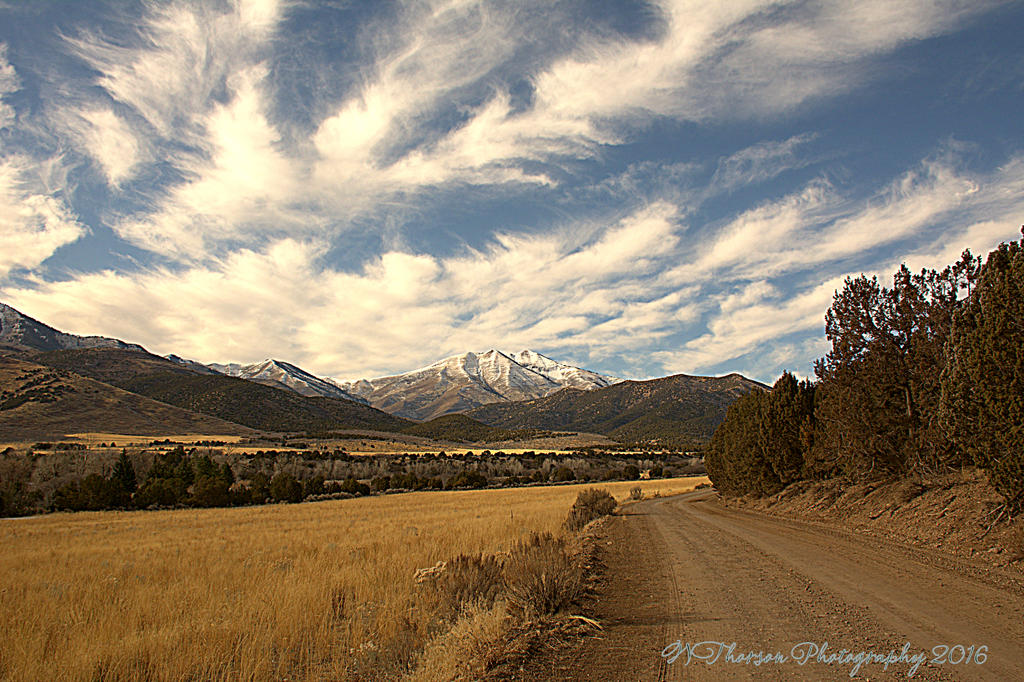 Cedar Valley #6 11-26-2016.jpg